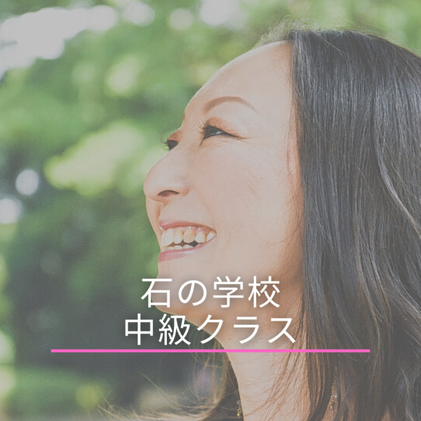 石の学校・中級クラス
