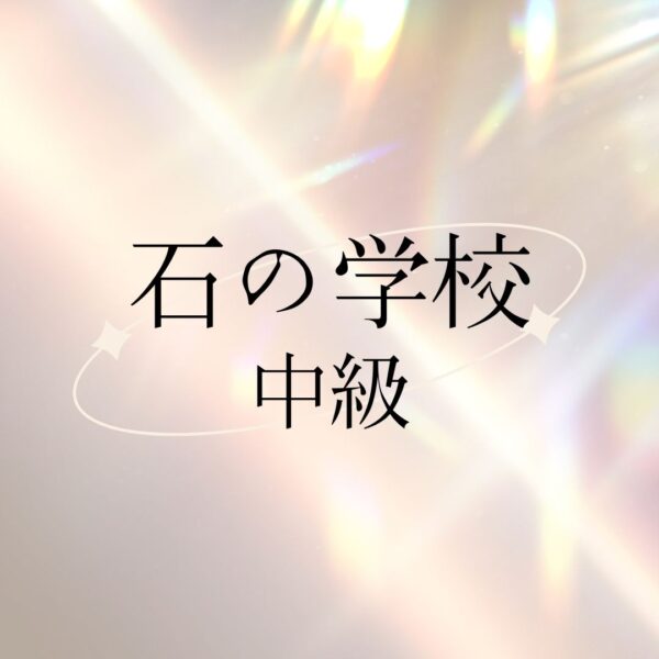 石の学校・中級クラス
